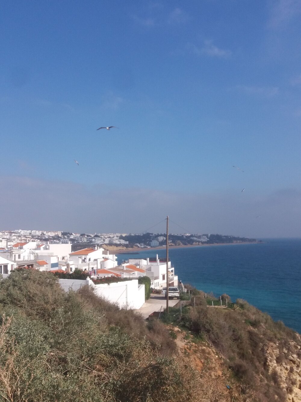 Americojunior13 profile