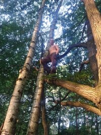 Schwanzhard's webcam live show