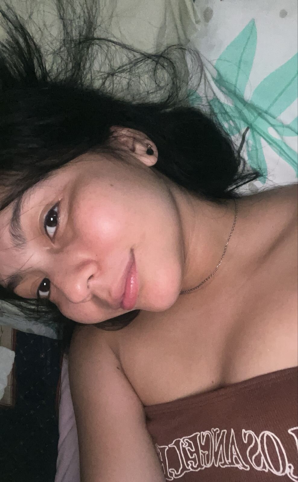 ariel_brake