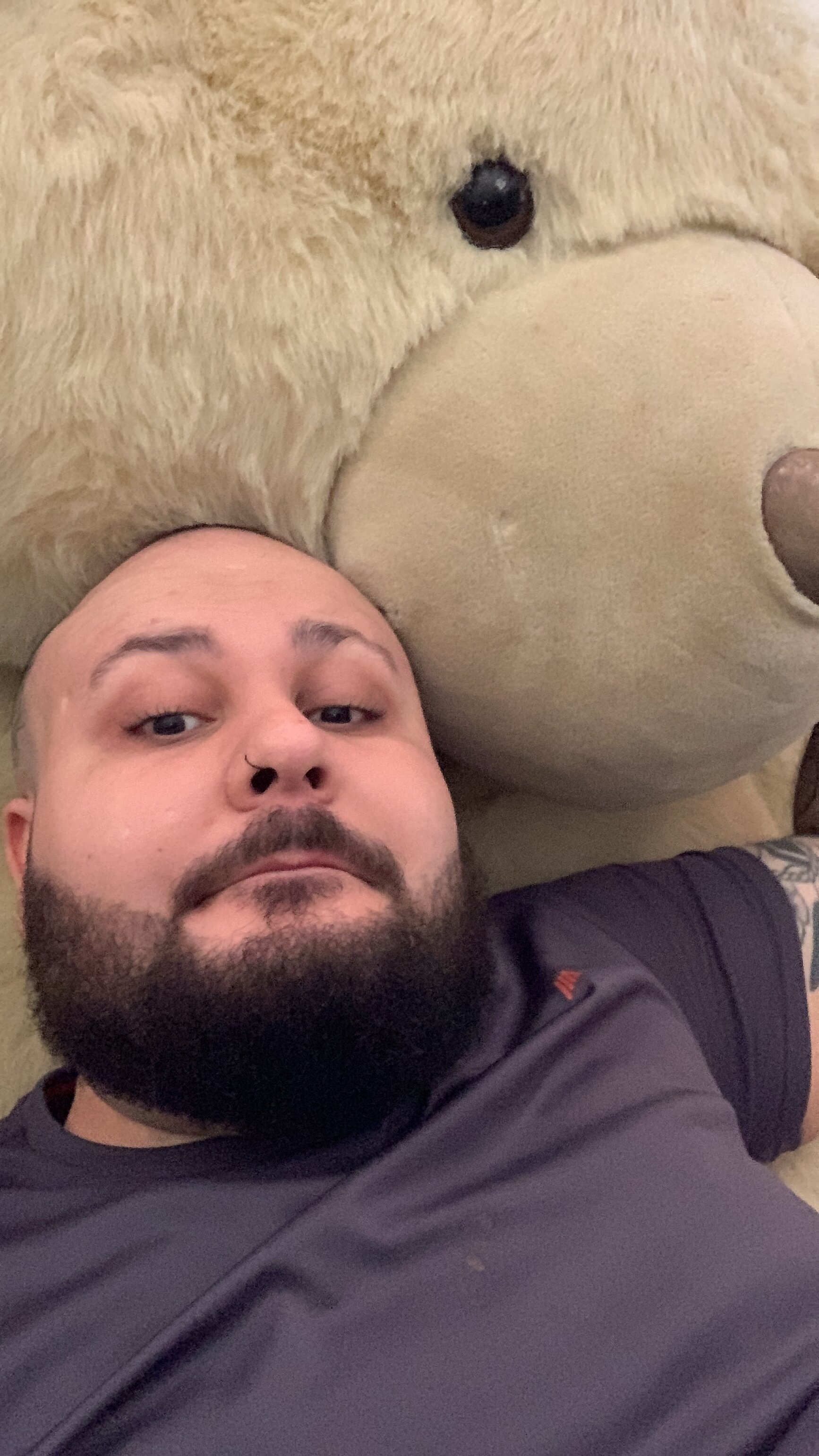 ale_acl_br