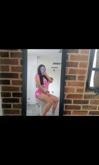 Hammy_1 webcam thumbnail