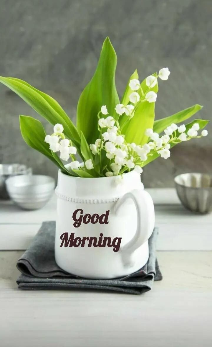 Abhikery live webcam