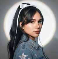 Модель Kagome01