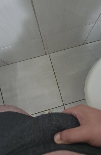 noviinho17cm from stripchat