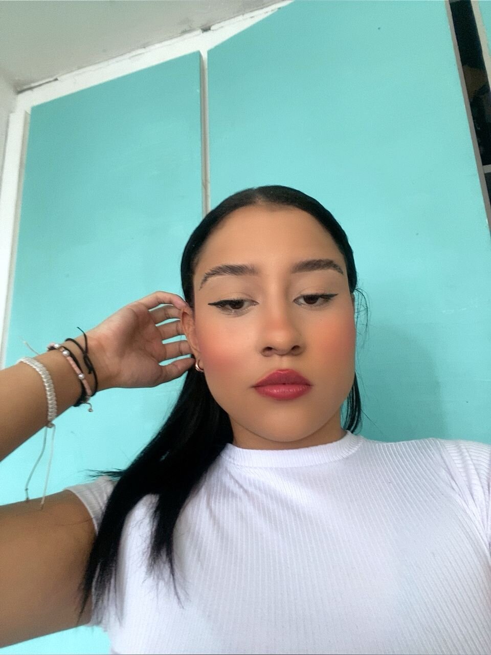 Venecarica1