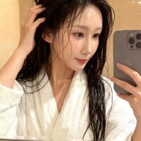 Модель BoxedGyre-