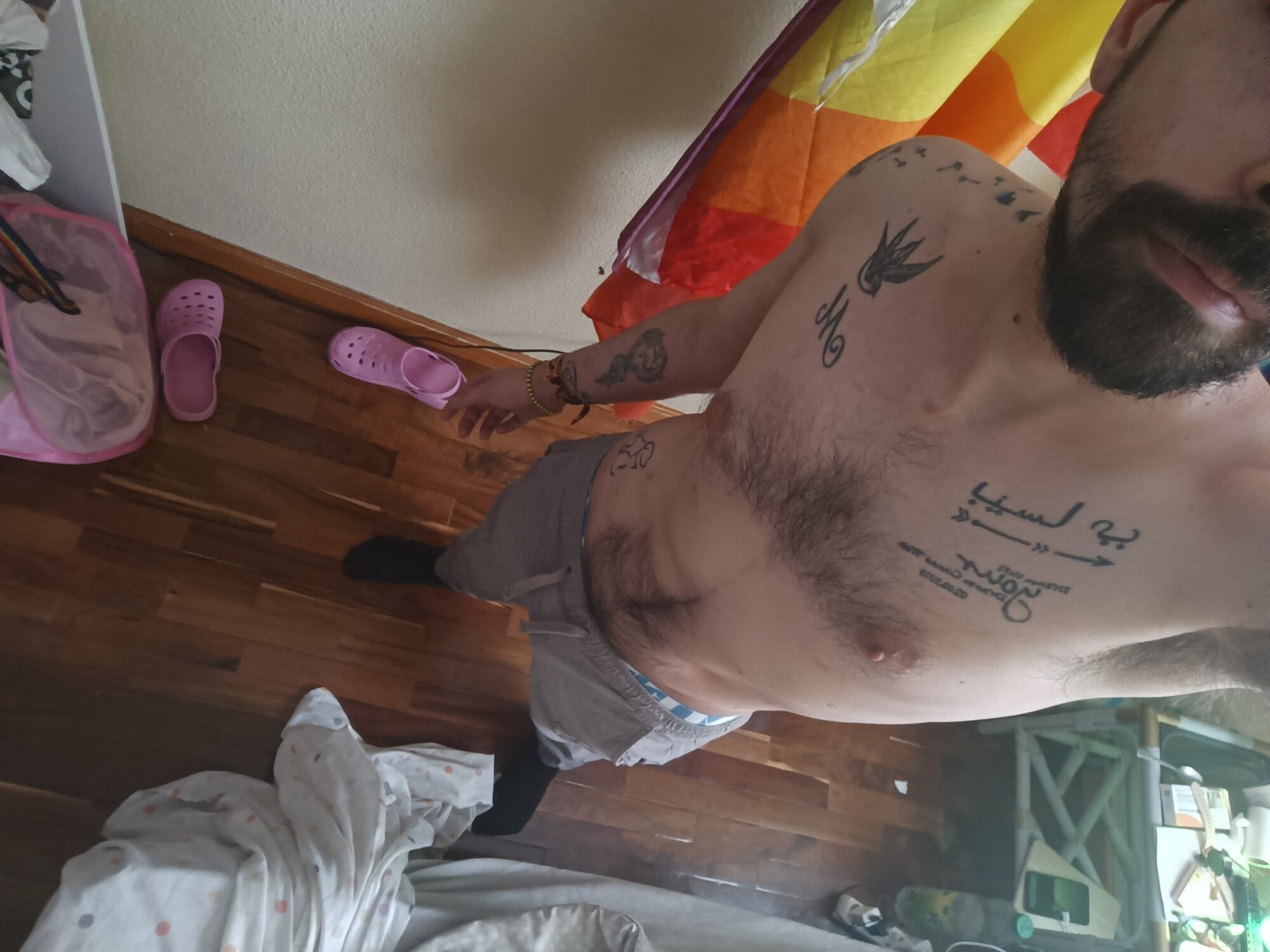 bisdetodo