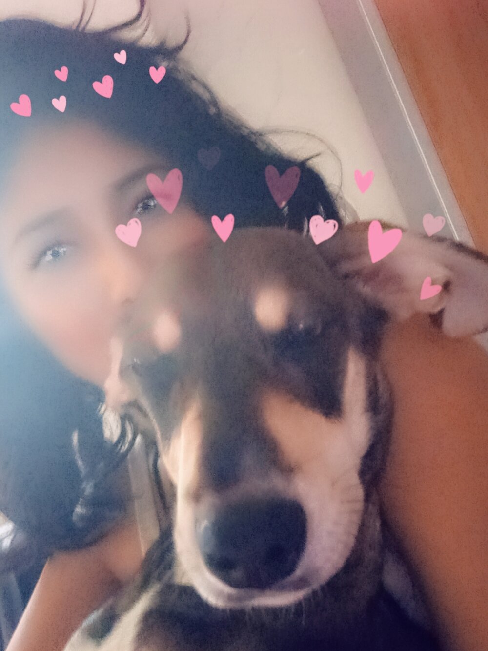 leagloop Offline XXX-Chat