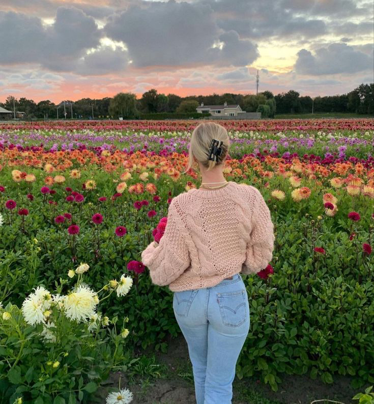 StellaCRL live webcam