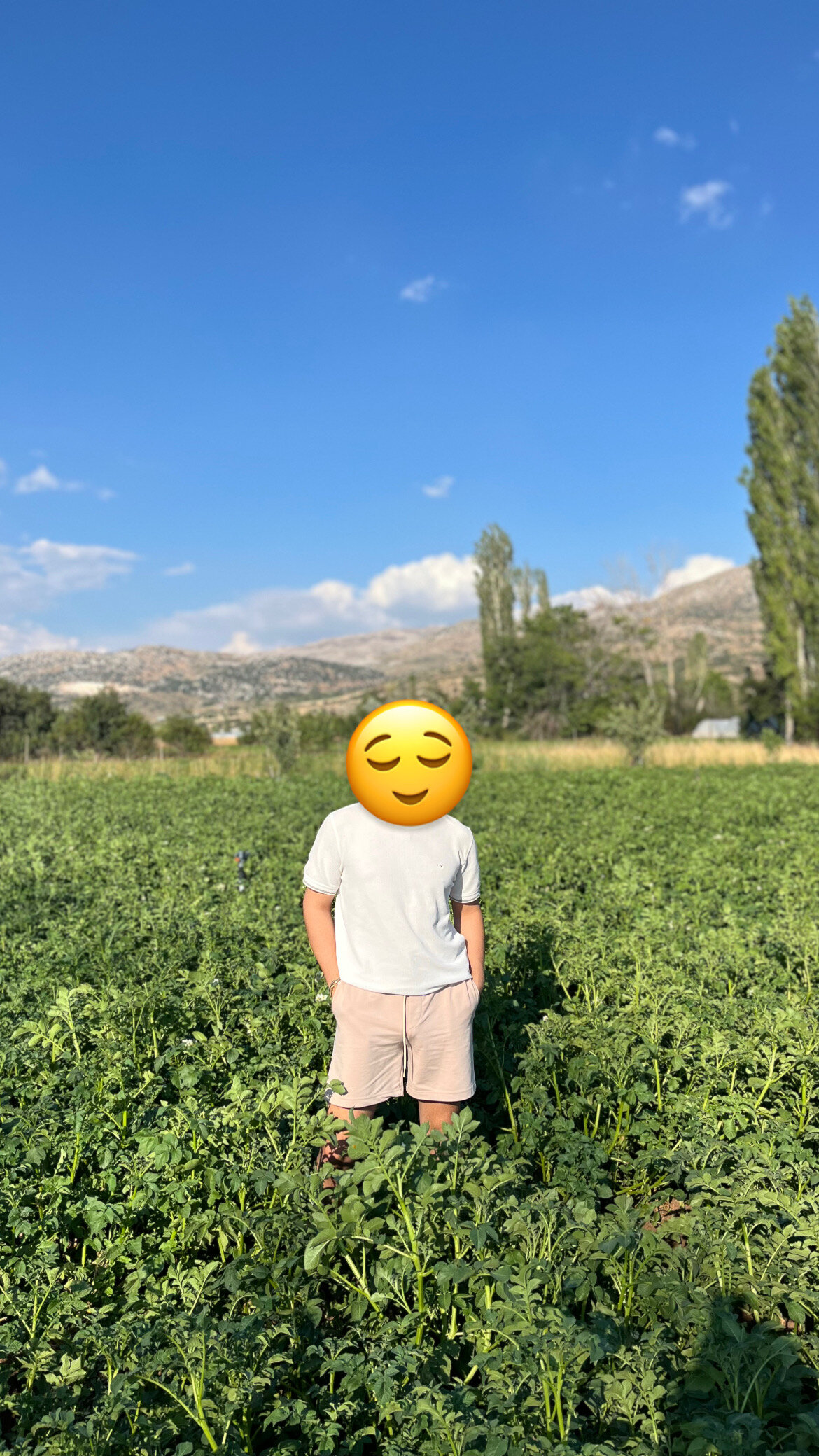 Inanbey