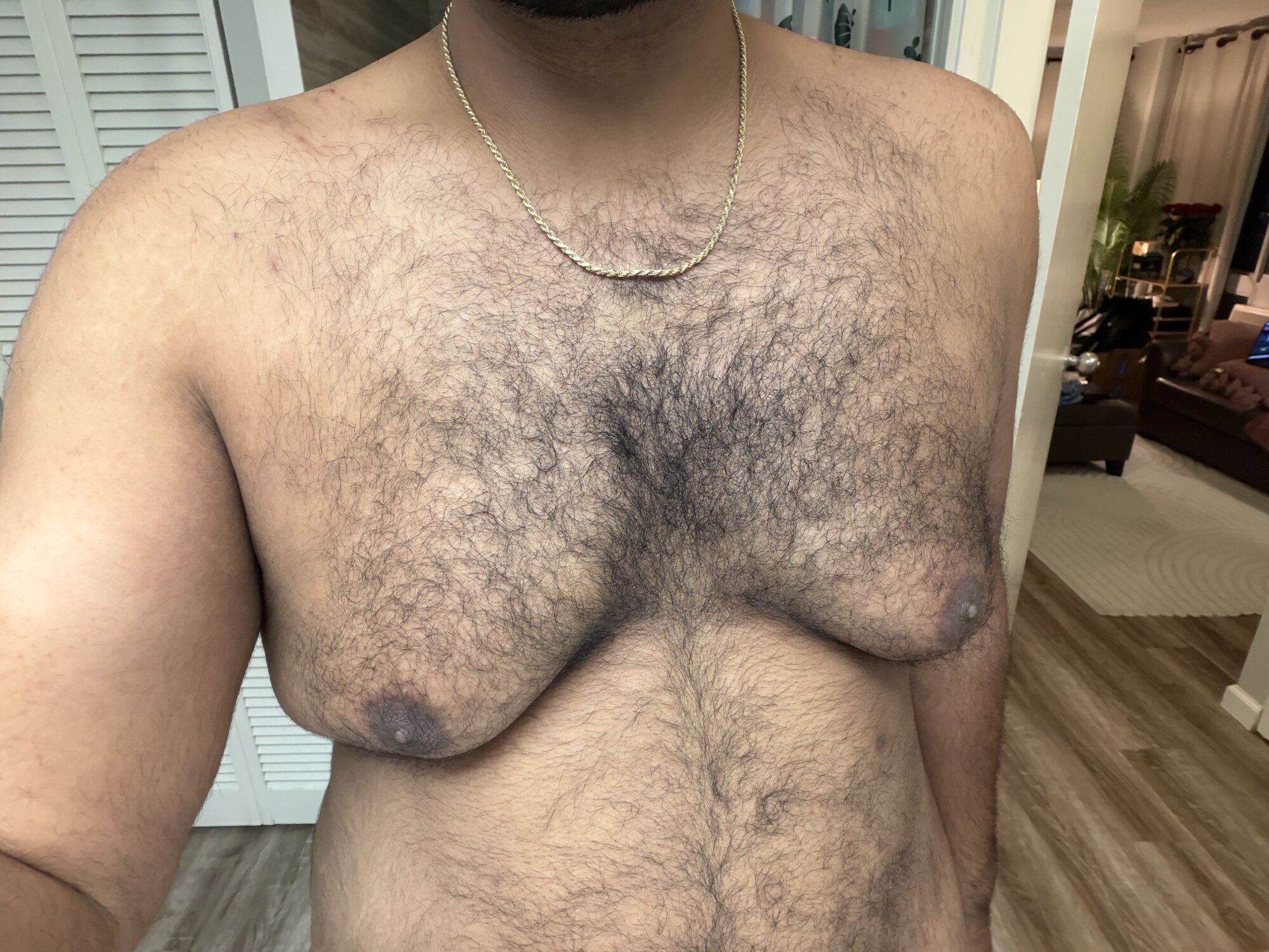 hornybear3455