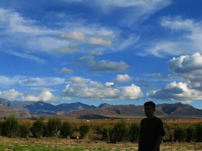 Majster91 Live Cam on StripChat