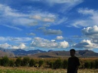 Majster91's webcam live show