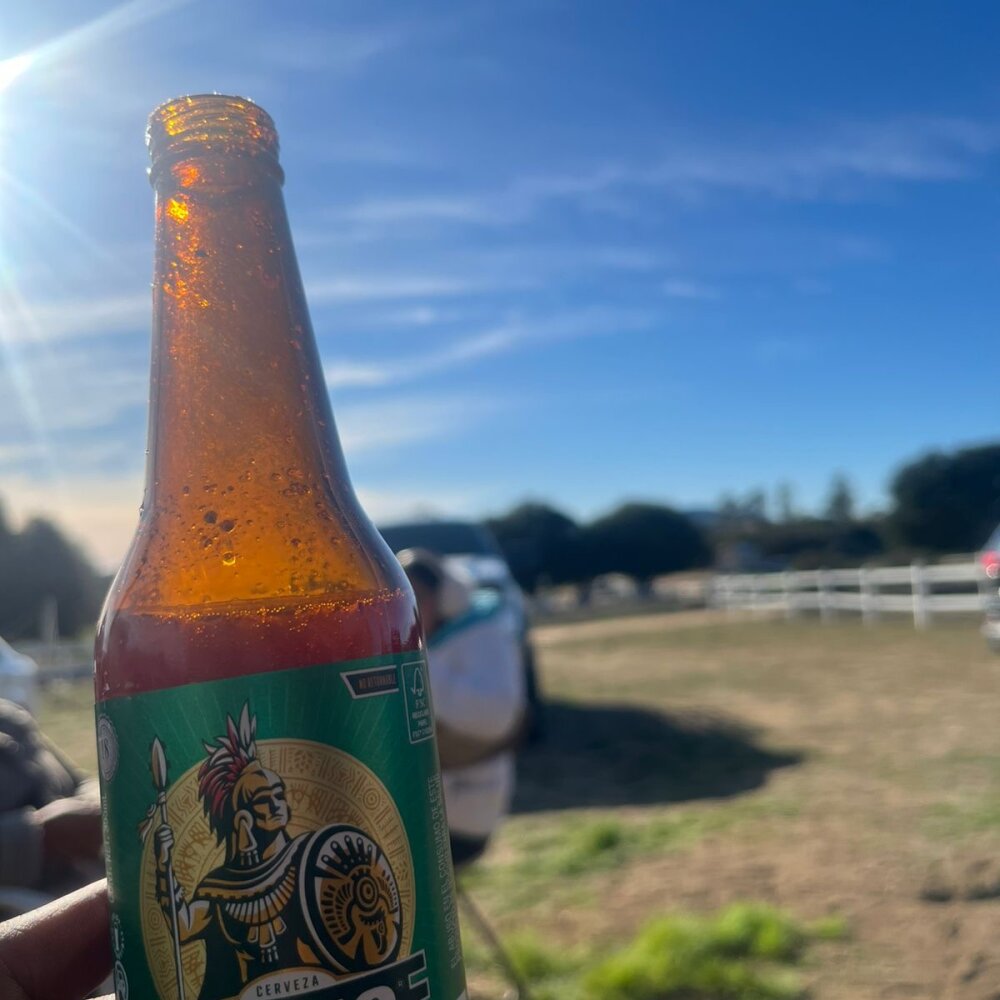 Dick7777's Offline XXX Chat