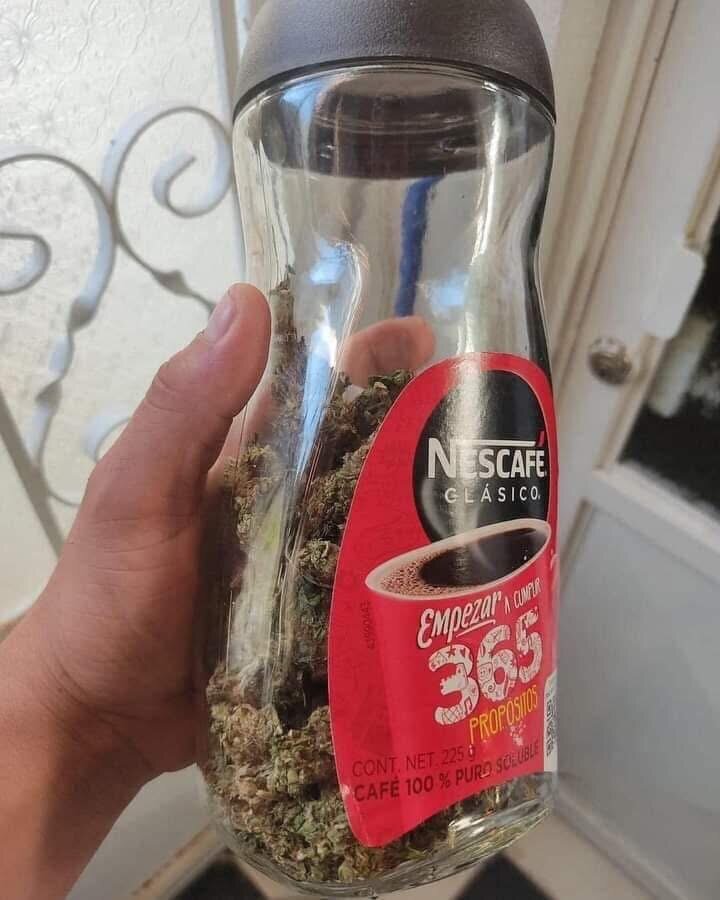 Santiagoelechero
