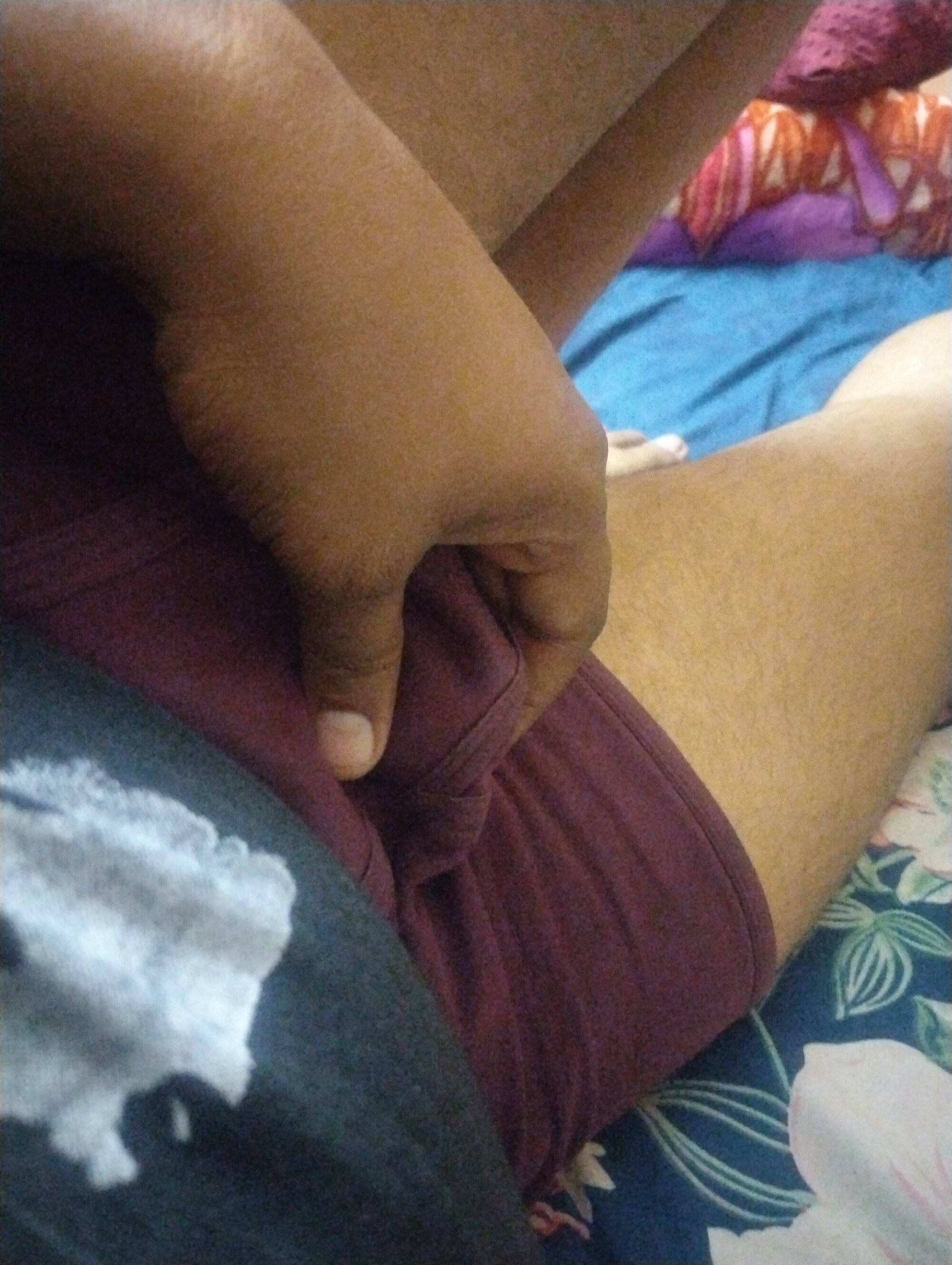 theplayboyDL