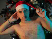 Модель Axel_grey_