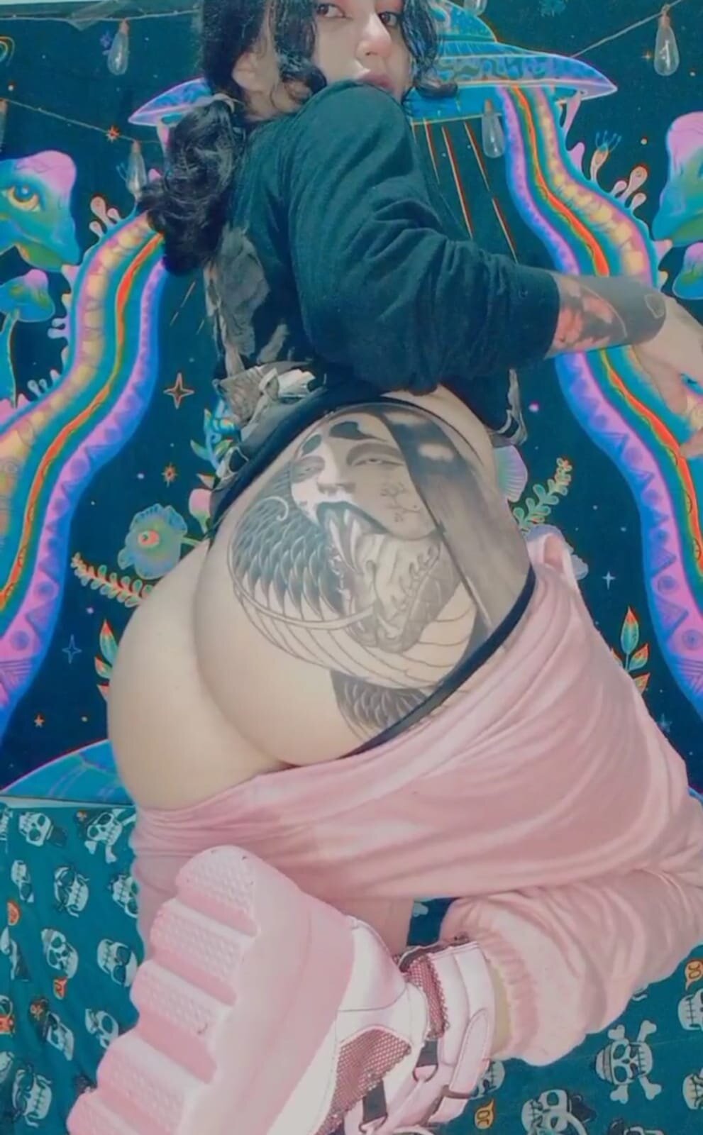 BabyQuetzal66
