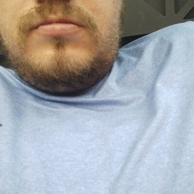 Bearchub31