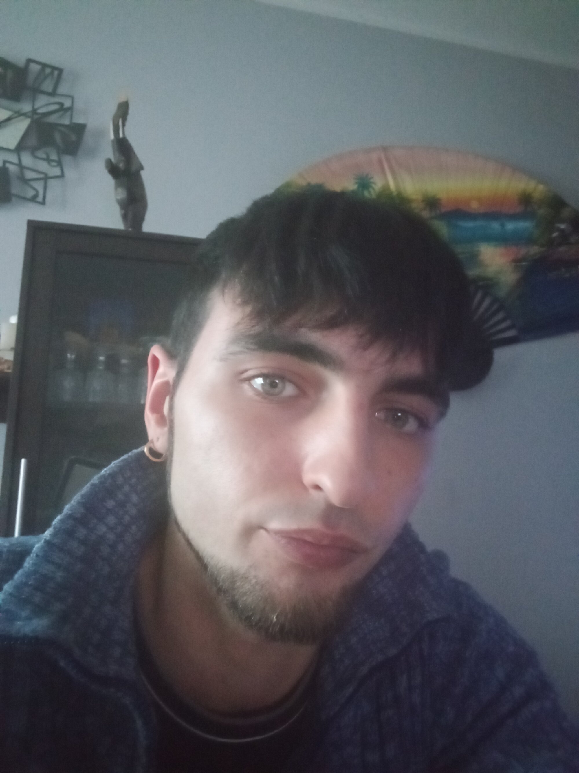 DarioLive