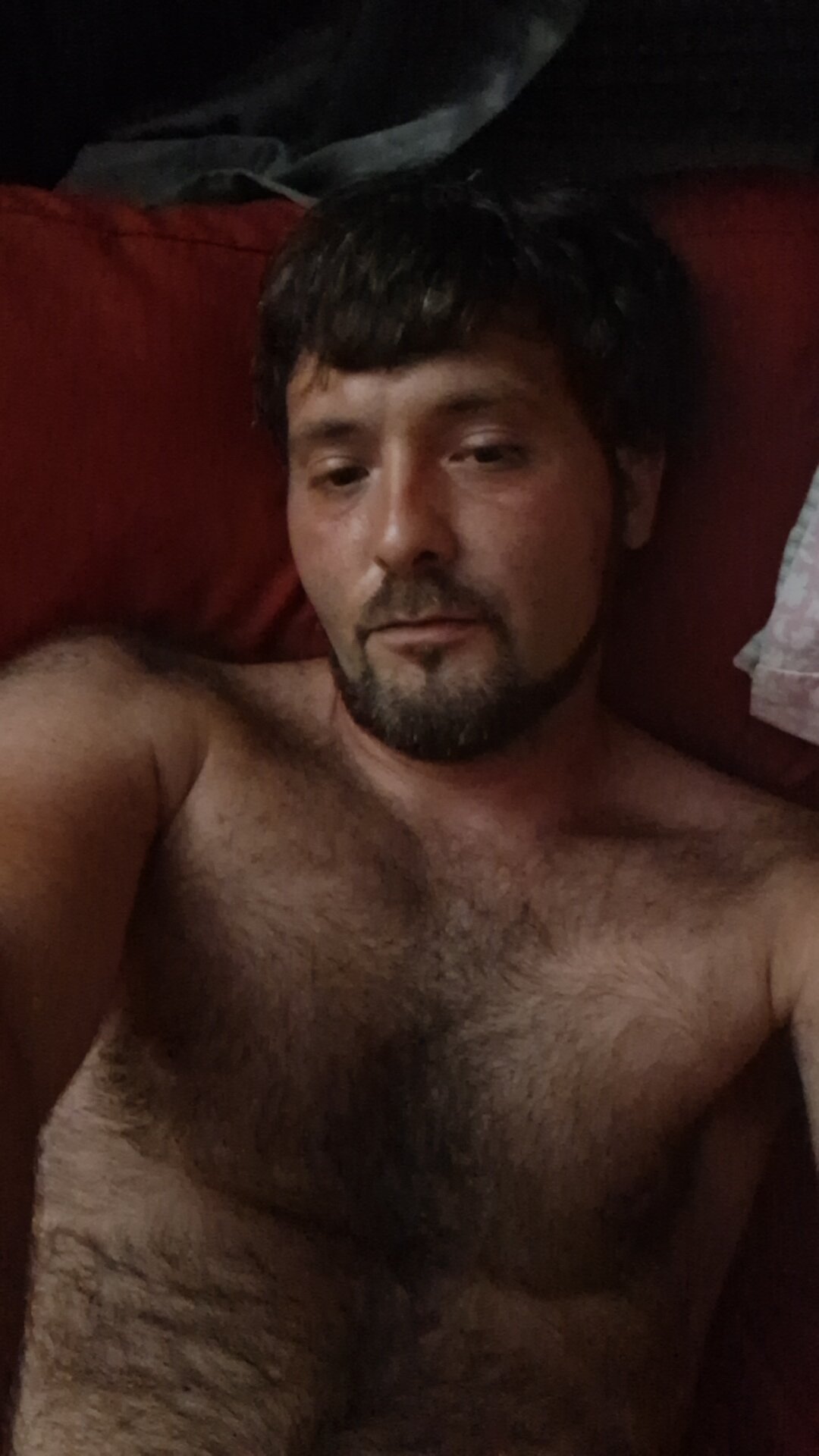 steveiboss