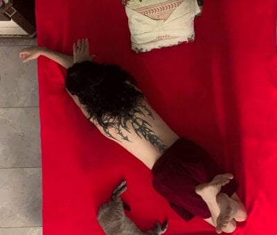 KittyChannel_ profile