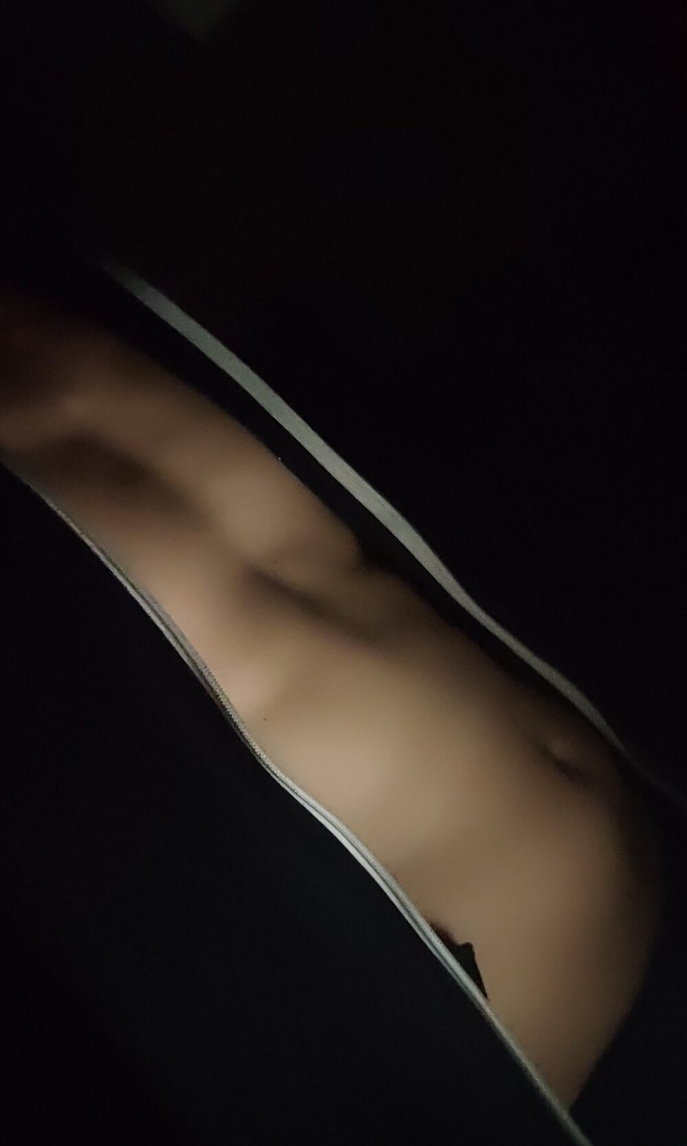 Casizwanzigerlang profile