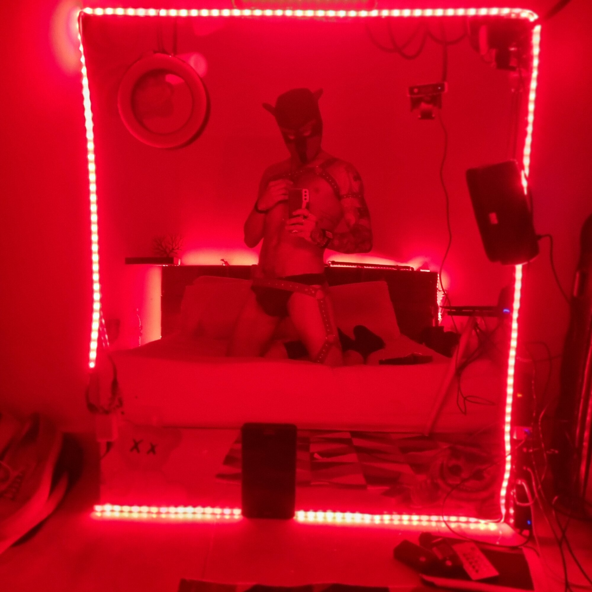 MasterrDomCash