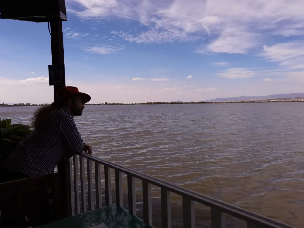 Donvelezi's most recent online preview