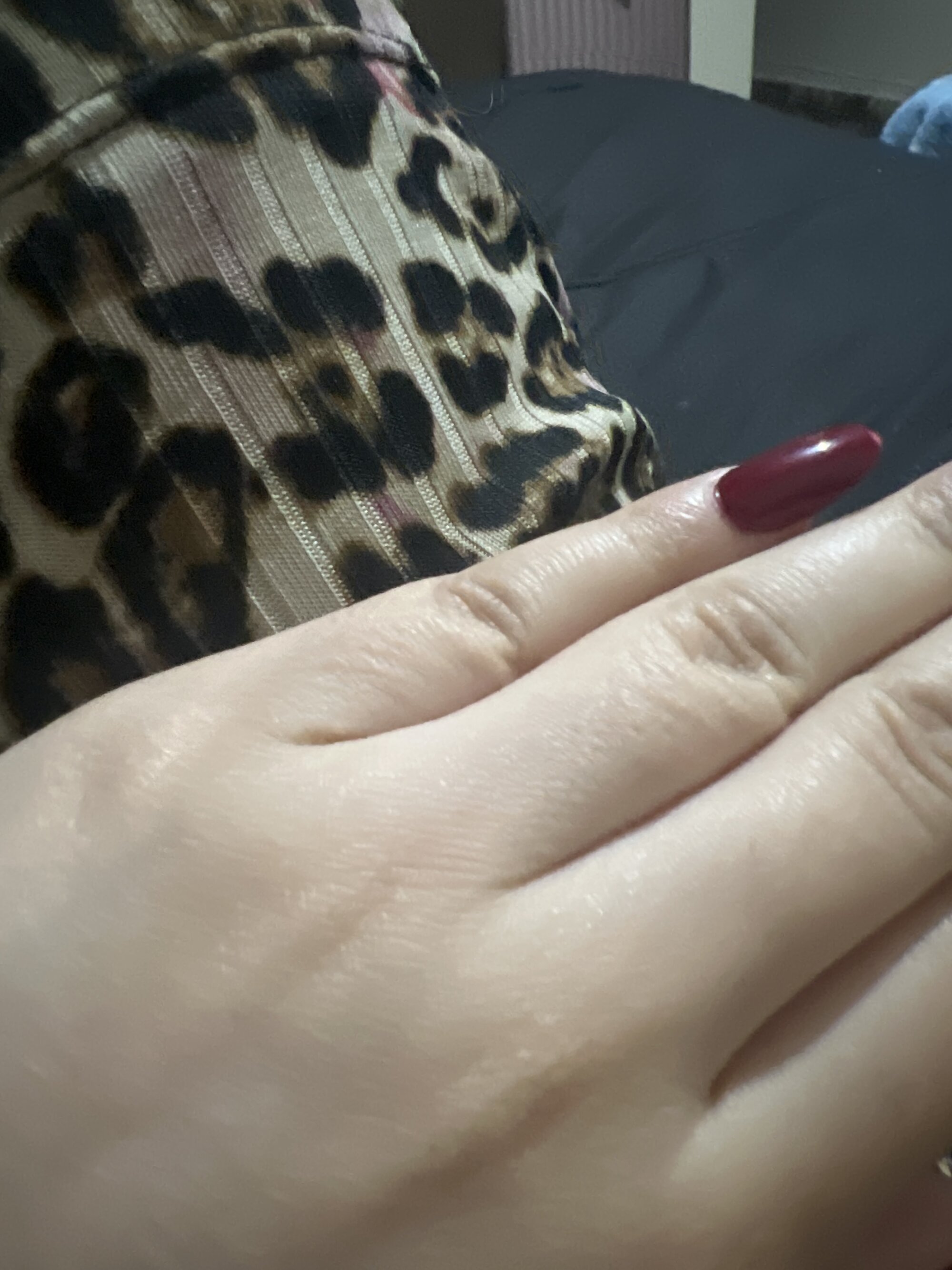gata4449