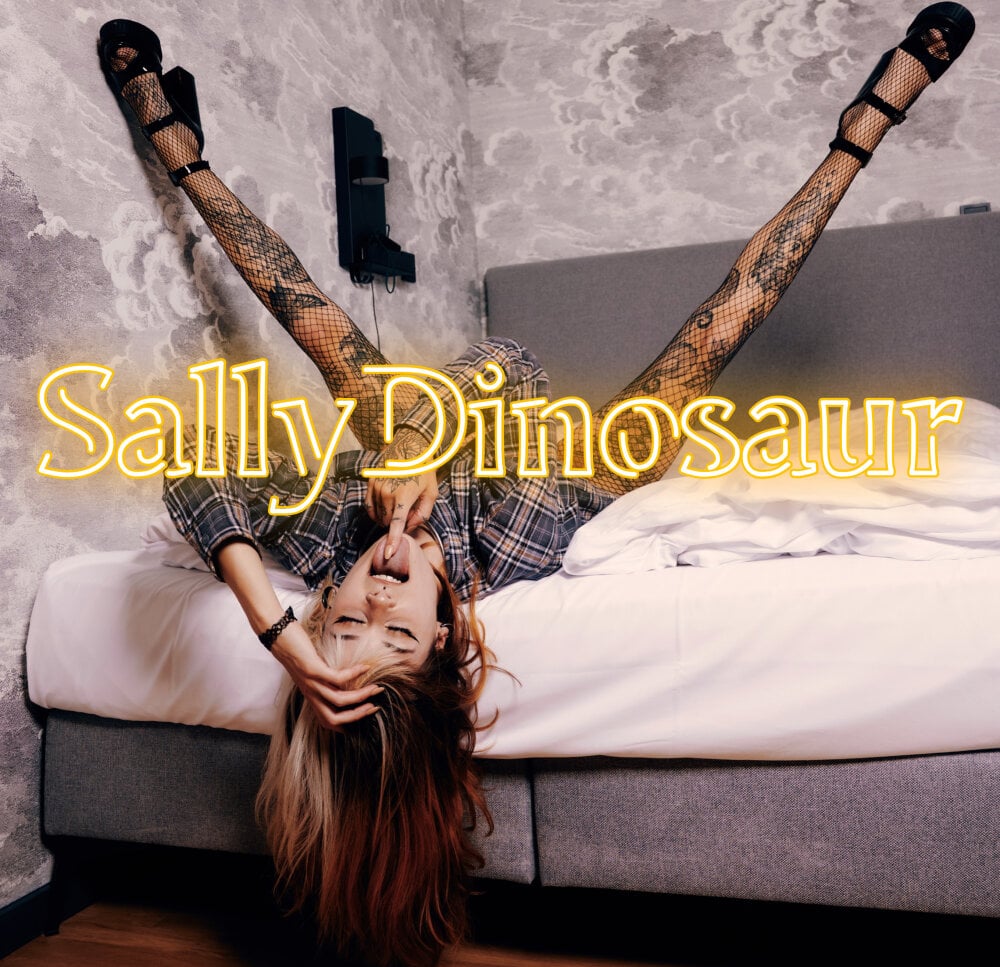 SallyDinosaur's Offline Chat Room