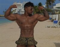 Модель CallumMuscle
