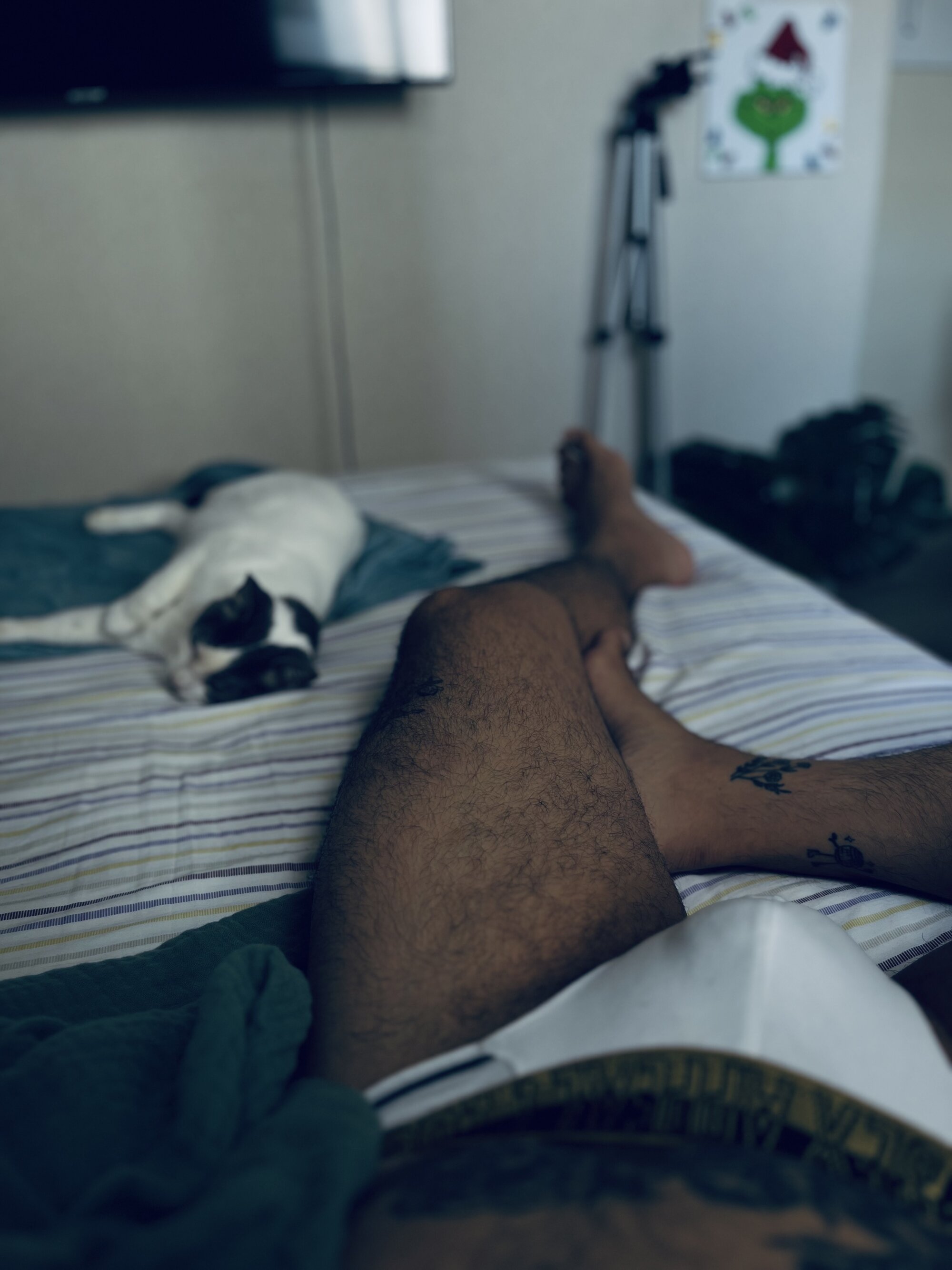 TeddyCosta
