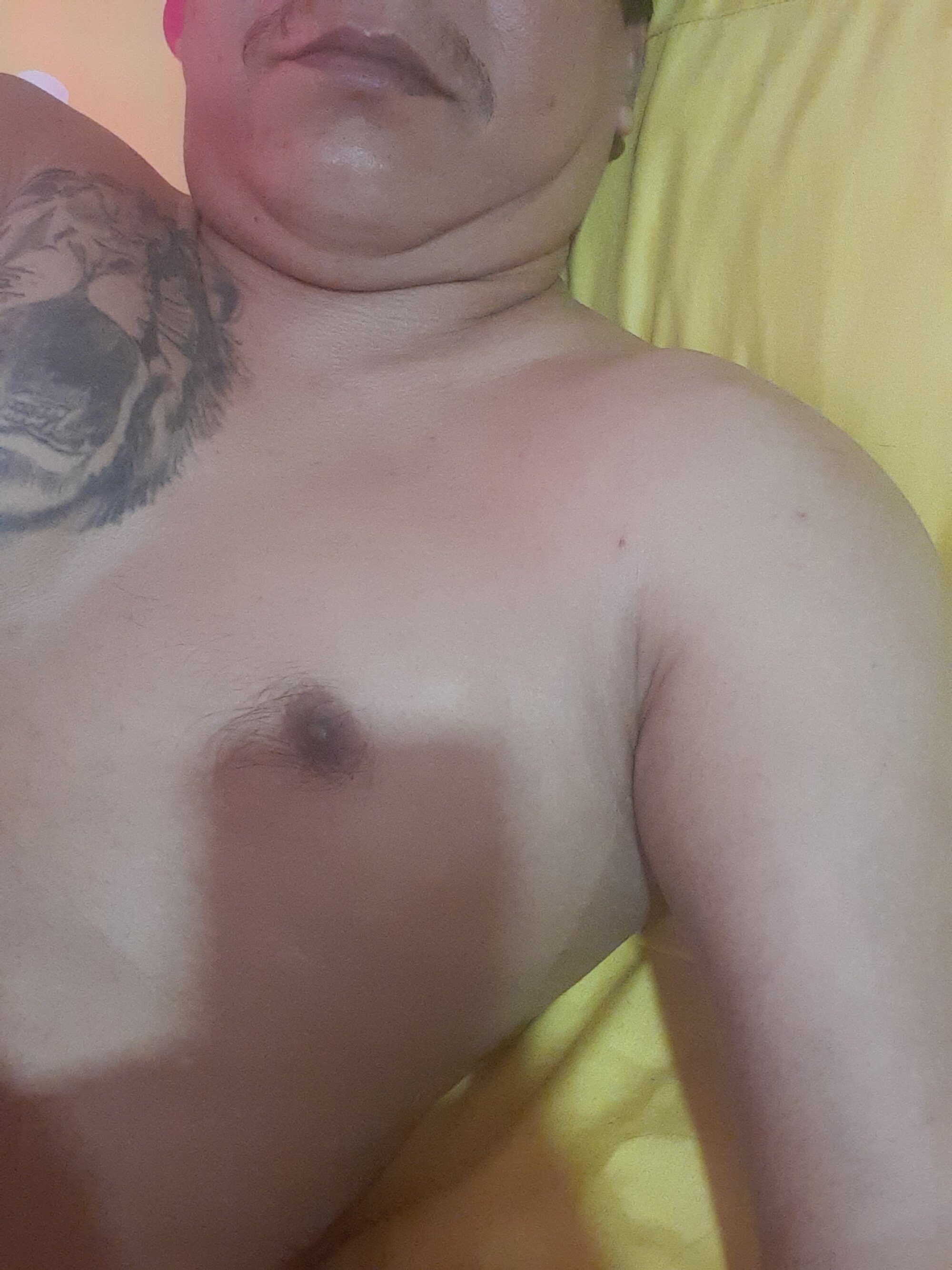 fernandox76