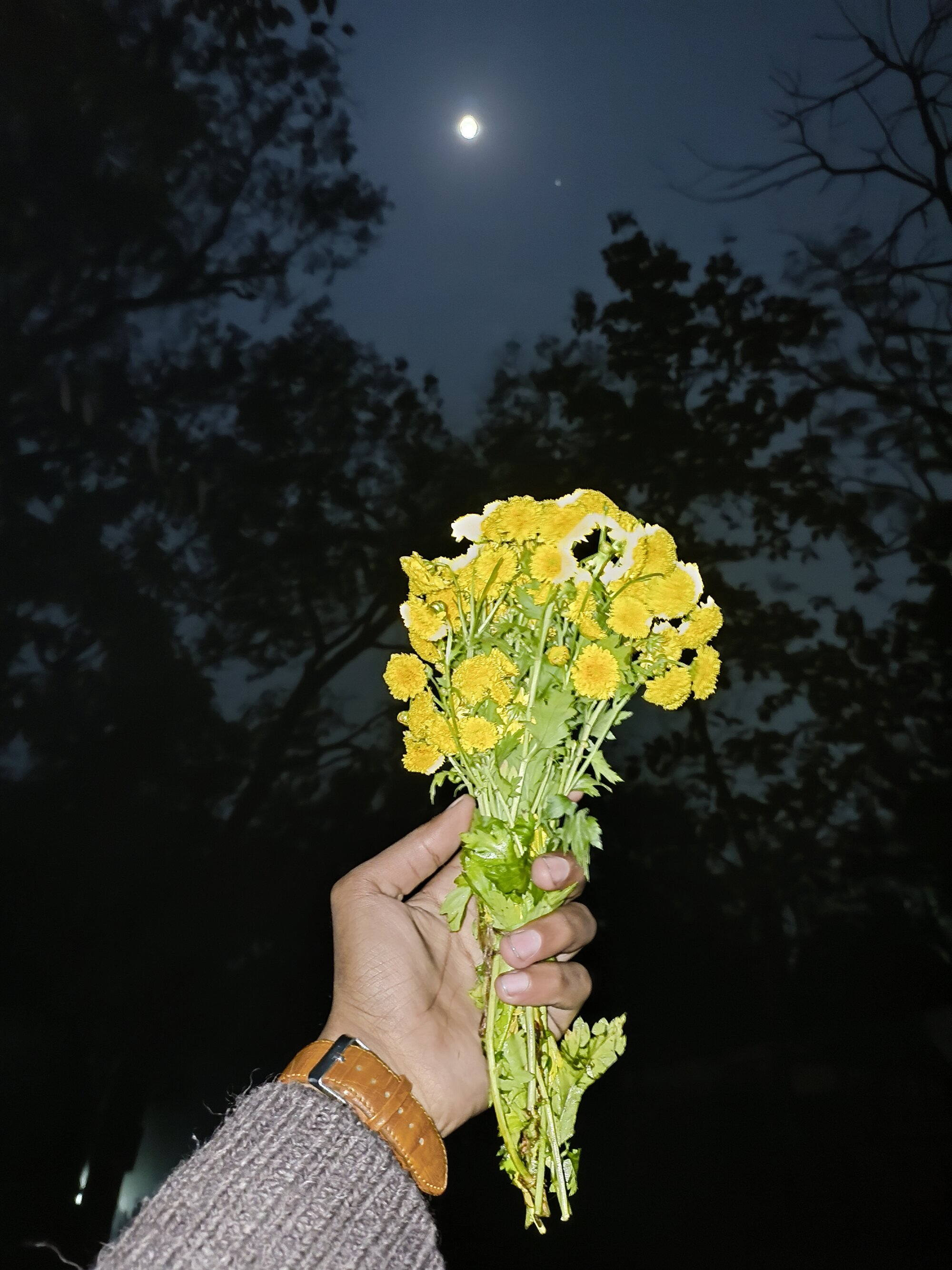lailaa077