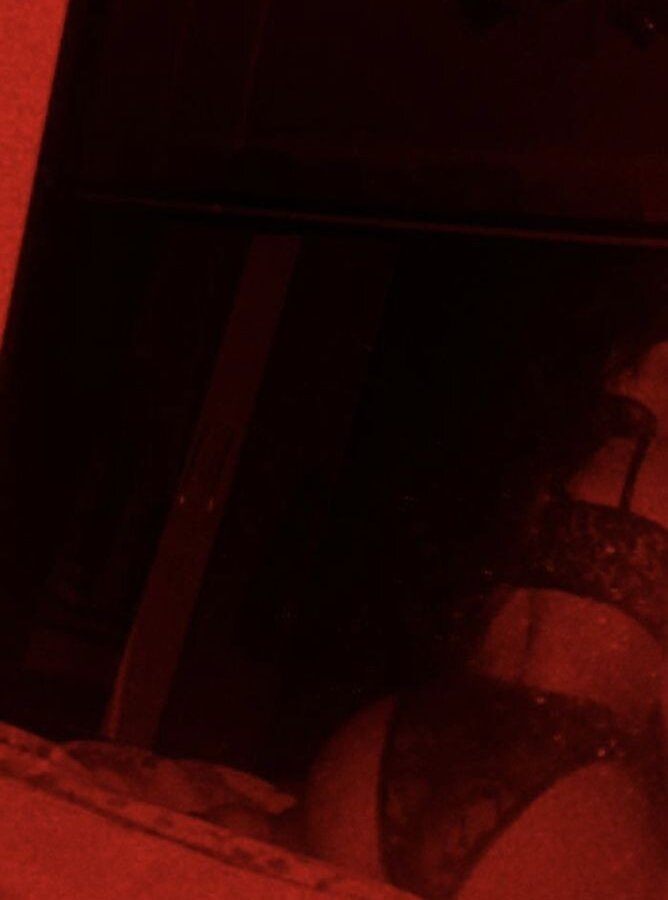 Live sex webcam photo for Noooddi #290219792