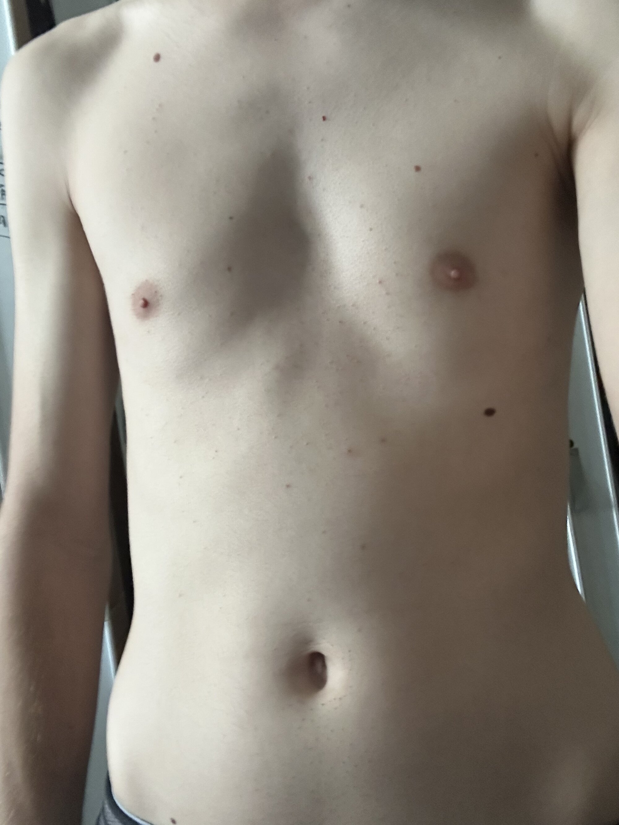stripboybr-