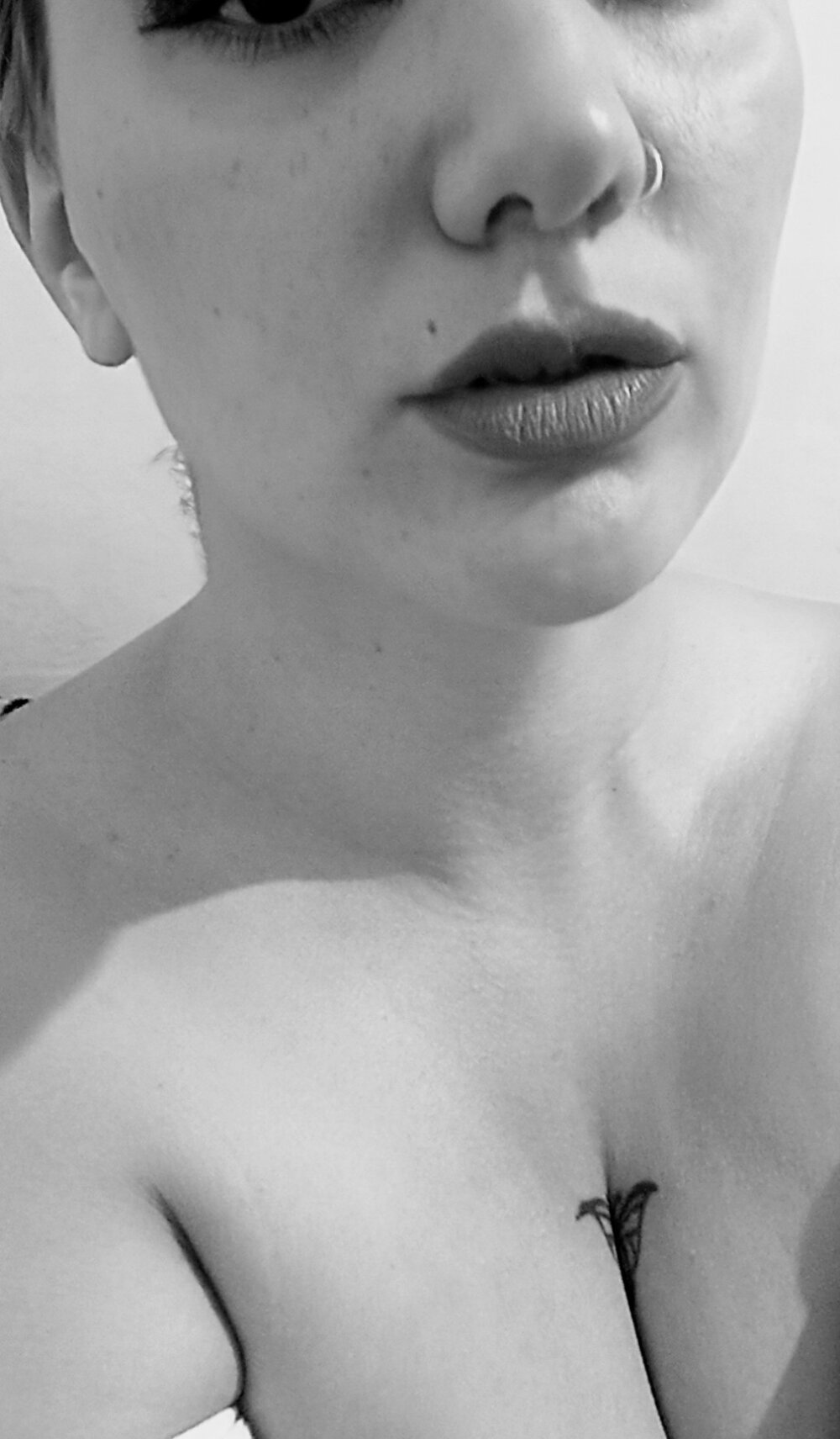 Dulcemelodia profile