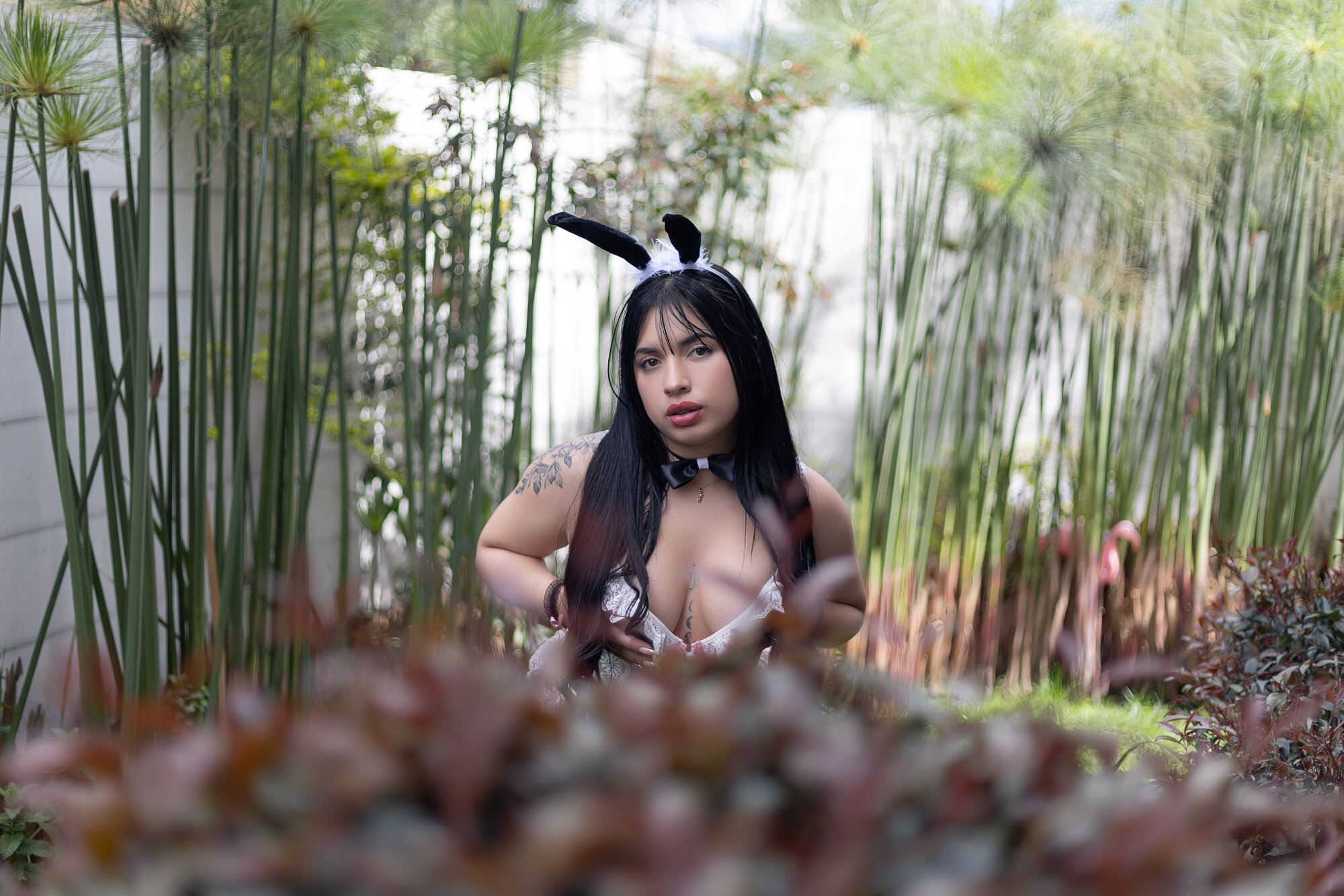alicestates0