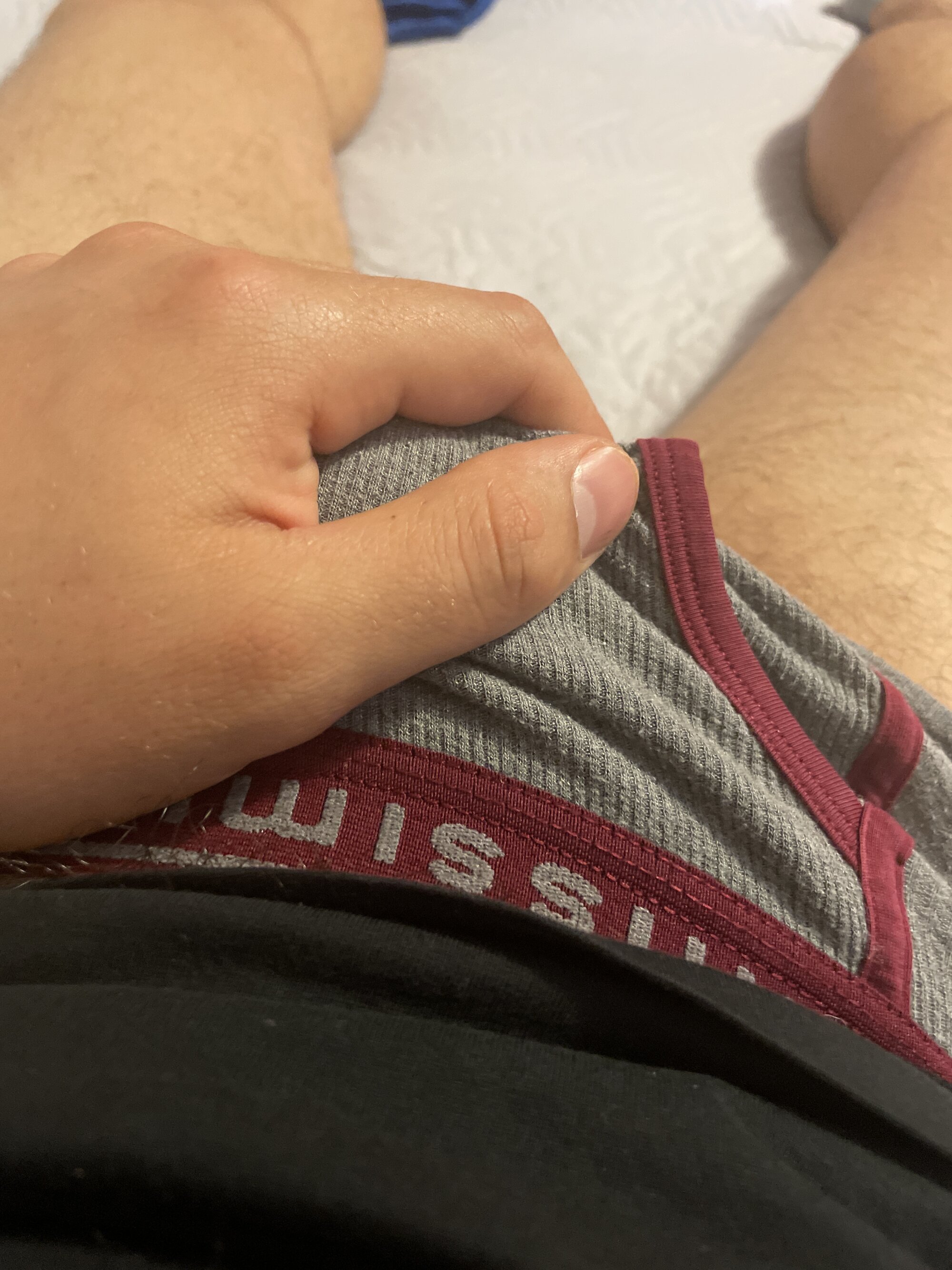_Alessio_sforza_