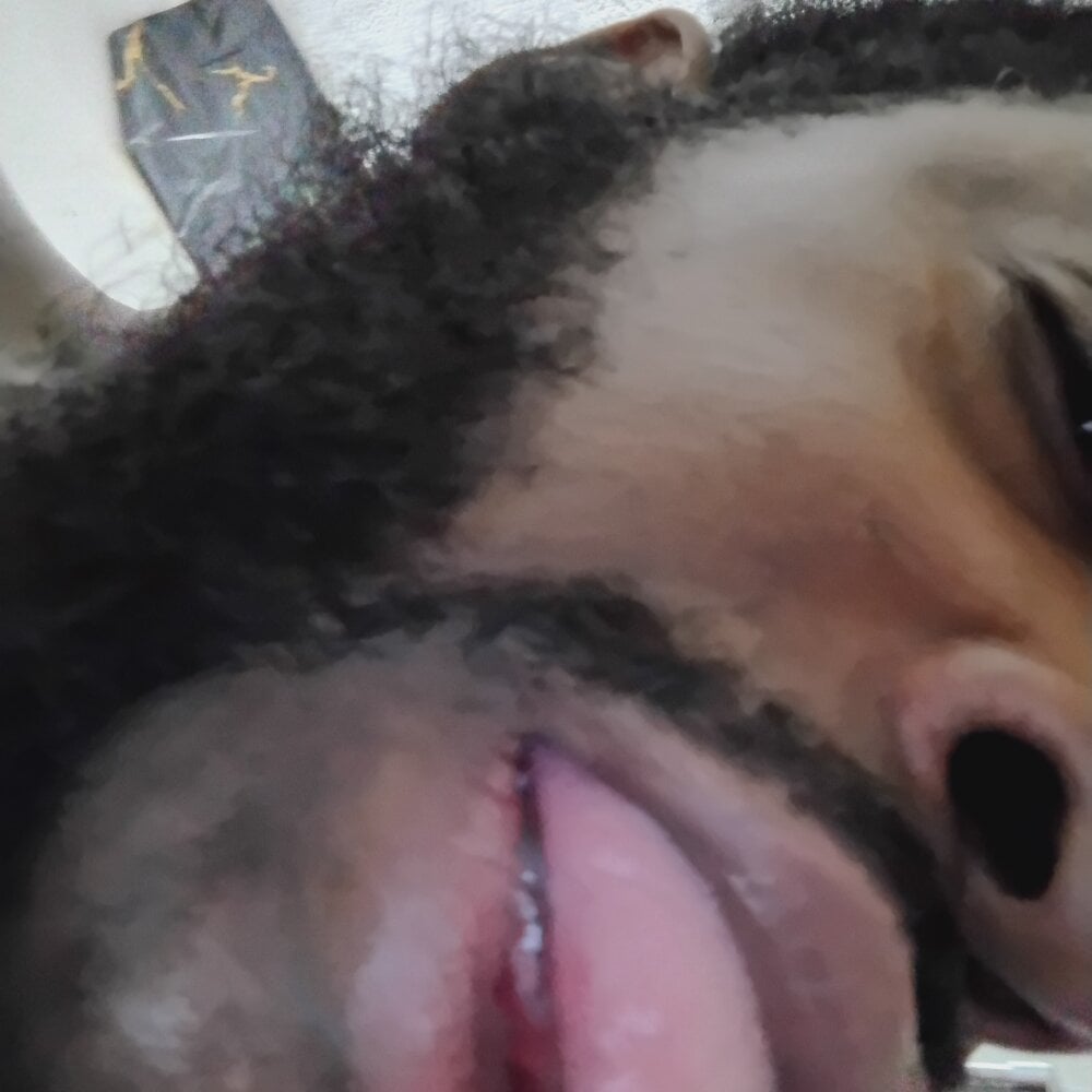 biggdoggent from stripchat