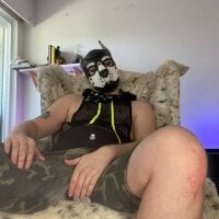 puptank's webcam live show