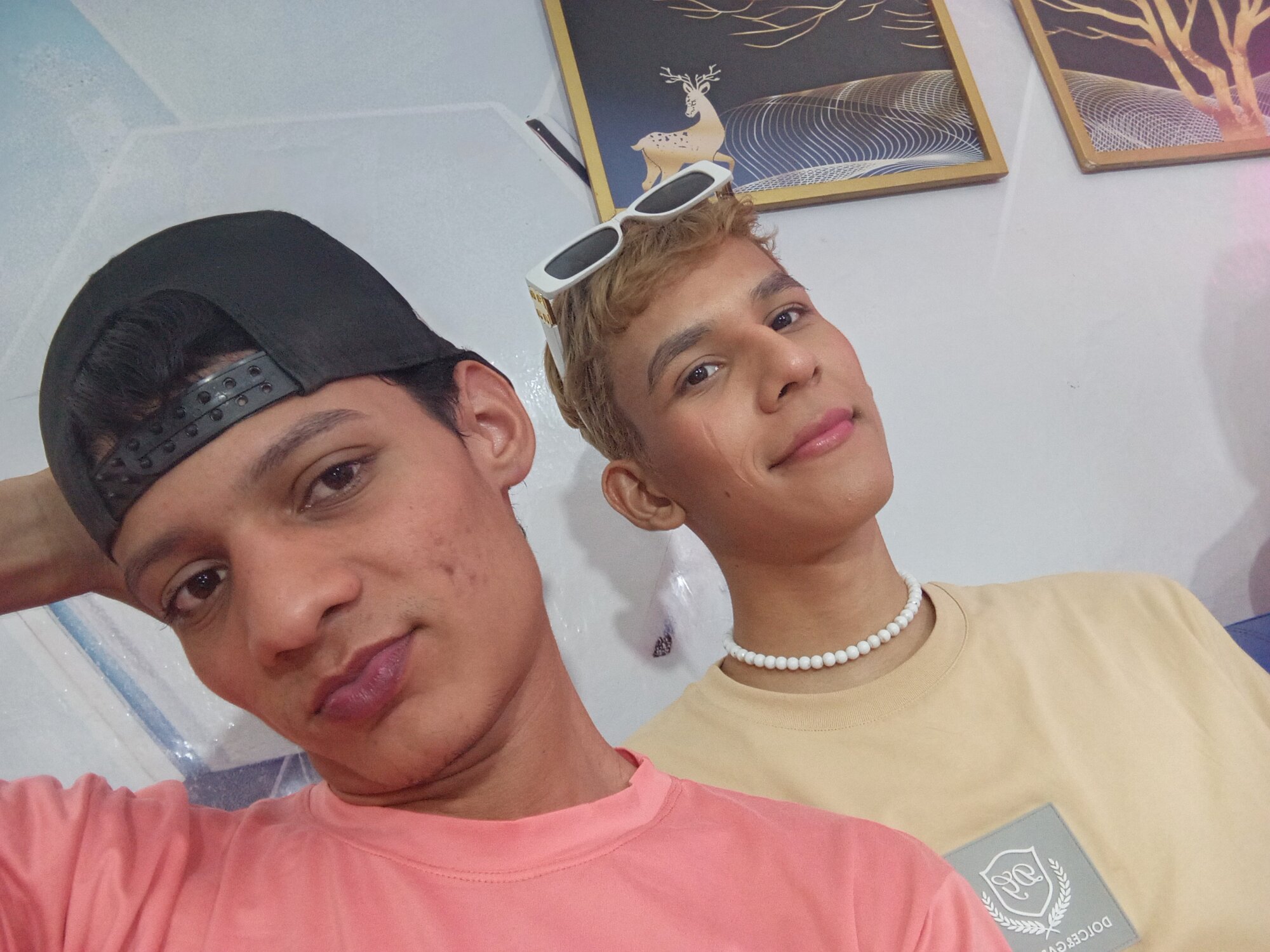 PleasureBoys