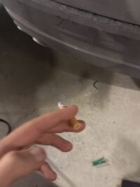 SiculoStrong's webcam live show