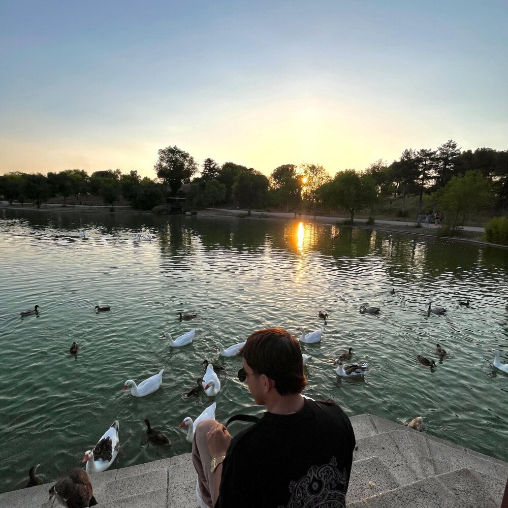 nickyvvv profile