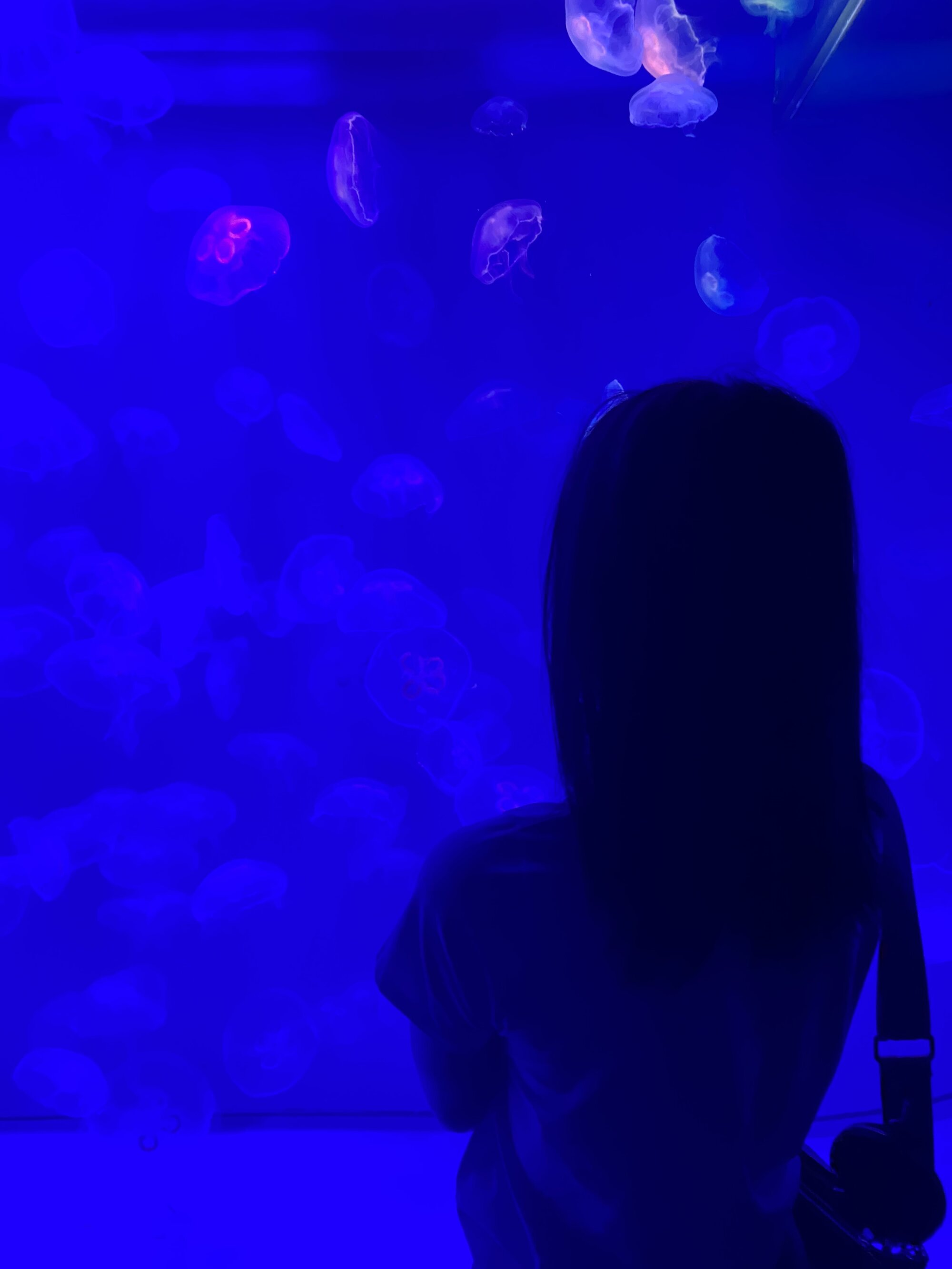 kissmeviki