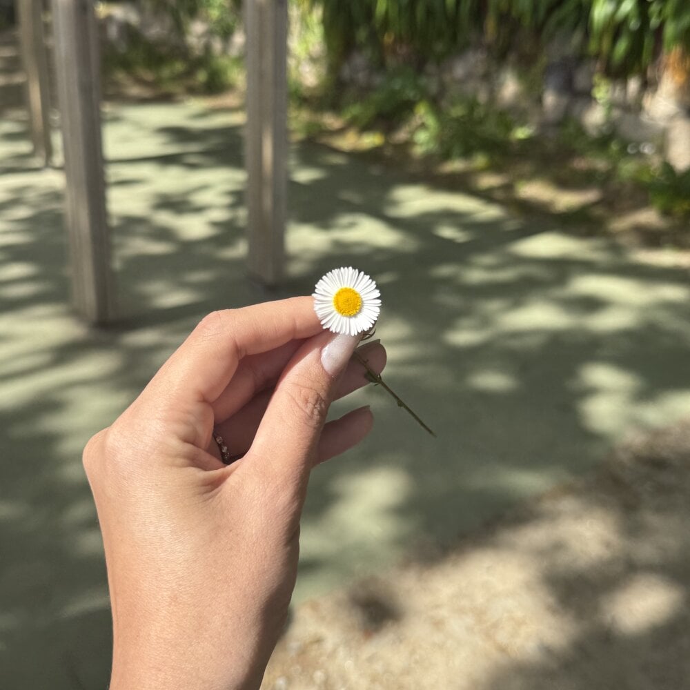 newporncams.com silverraquel livesex profile in originally-from-korea cams