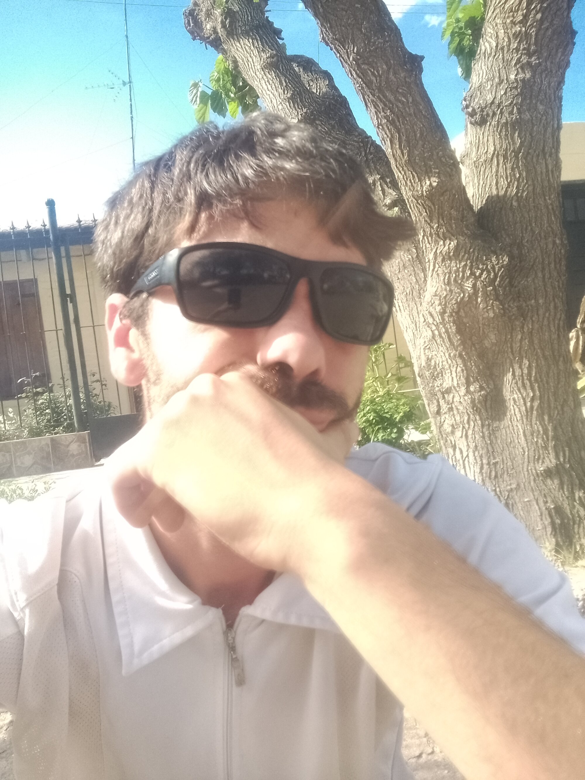 lucctatu1