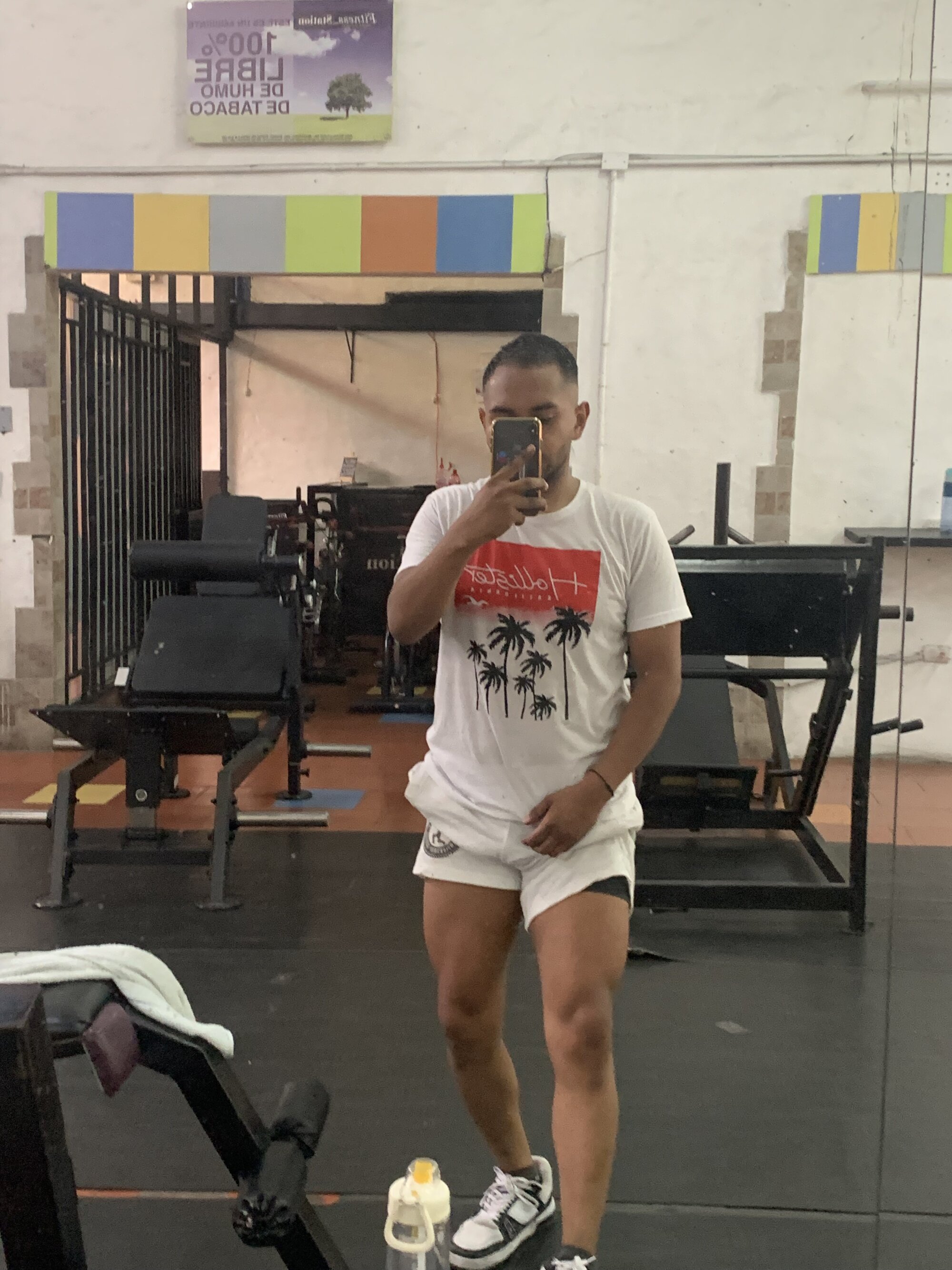 honey_fern1
