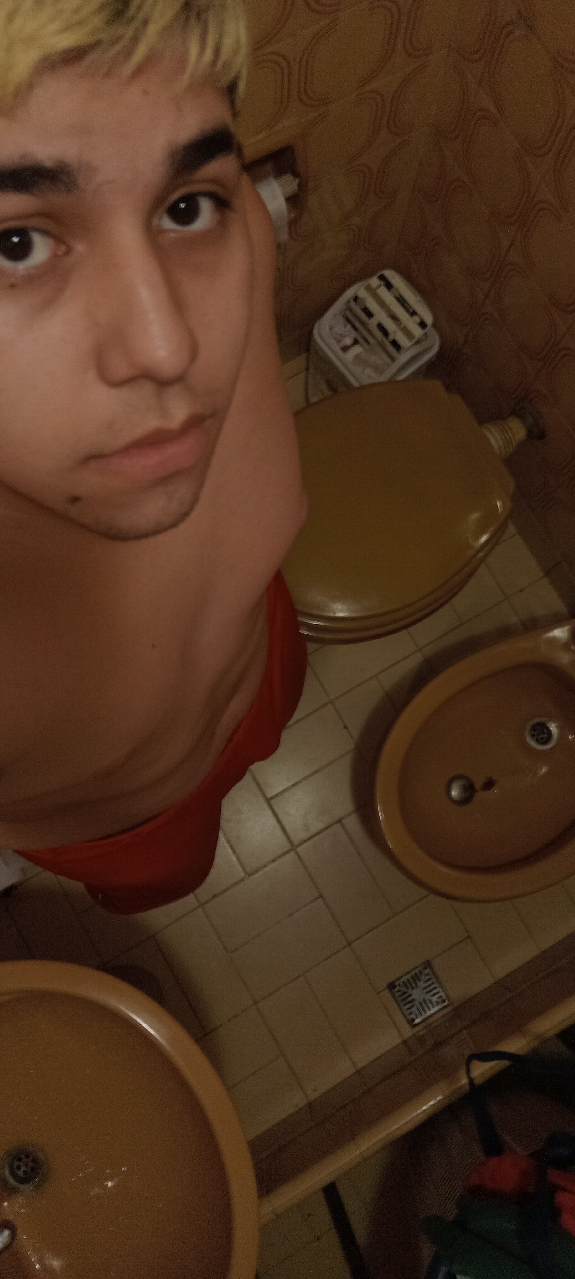 Lau17cm